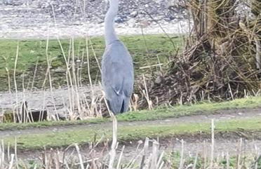 Nicks and Carmels by the Lake - Foto 30