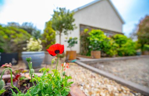 Clayford Cottage - Photo 39
