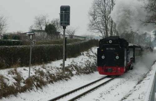 Ferienwohnung "Möwe" im Ferien-Resort Rügen - Foto 48