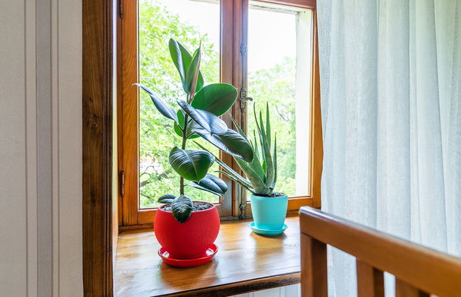 HB apartments Akhvelediani - Foto 37