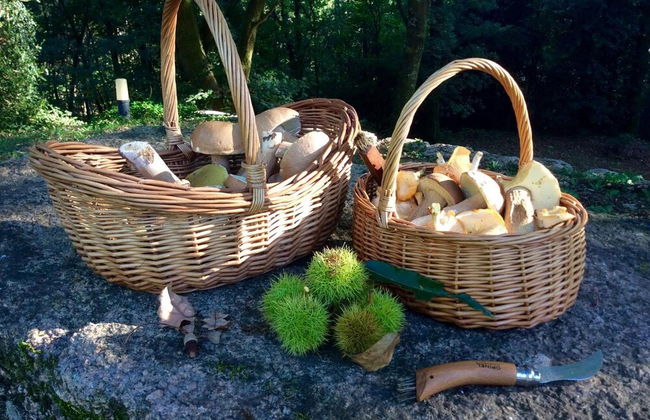 Casa da Urcela - Photo 20