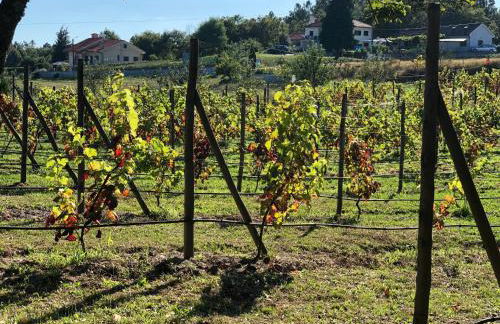 Casa da Quinta da Prelada Simão - Foto 69