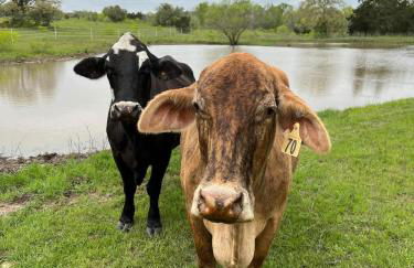 Relaxing Modern stay on a Ranch - Foto 68