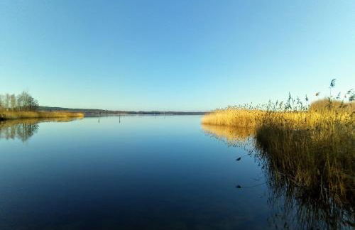 Ferienbungalows am Wolziger See - Foto 53