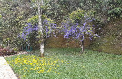 Loft Aconchego da Serra - Foto 6