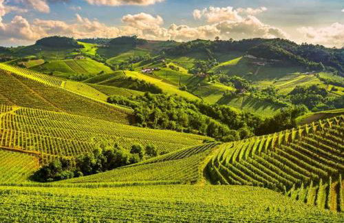 L'ORCHIDHEA APARTMENT - Foto 39