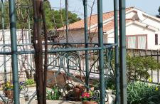 SUMMER TIME - Photo 37