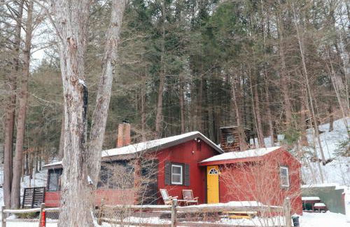Hot Tub, Wood-burning Fireplace and 4 acres of Forest in Margaretville - Foto 31