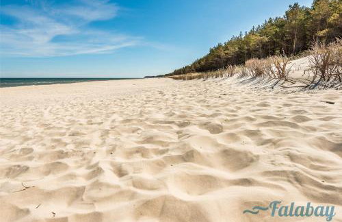 Domki Falabay - Foto 12