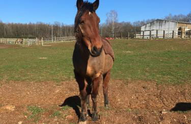Holiday Home Near Lake and Leisure in Clos du Bannet - Foto 65