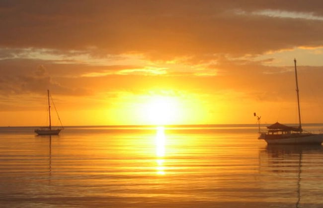 Sip And Sea - Foto 7