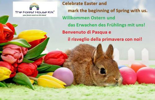 The Forest House Krk 1 - Photo 4