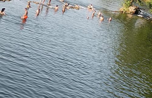 Galoma Korana - Foto 27