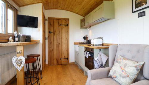 Defaid Cymreig - Foto 5