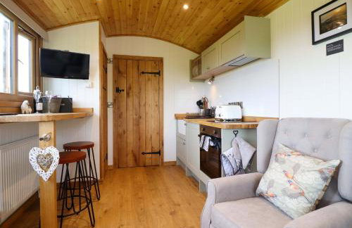 Defaid Cymreig - Foto 5