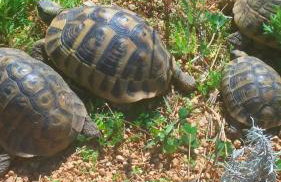 Family Apartments K&M - Photo 53