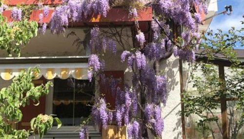 Haus Oberland - Photo 4