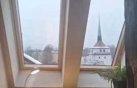 Stadtpalais Bellevue-Suite 3- Zimmer- Maisonettewohnung mit Dachterrasse maximal 4 Personen - Foto 34