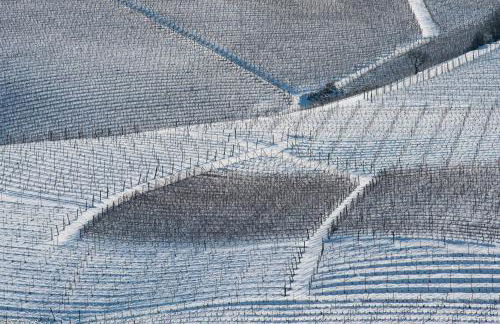 Tomati's House - Foto 43