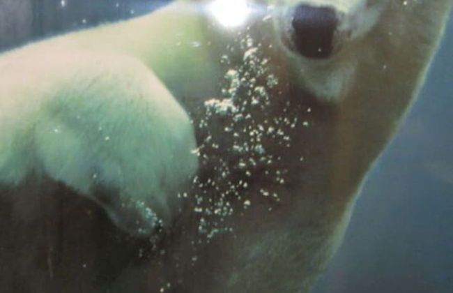 Majestic Apartment in Olsberg - Foto 12