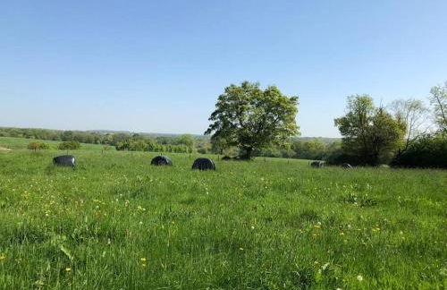 The Cowshed - Foto 10