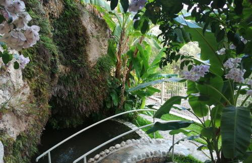 Filoxenia Olive Garden luxury villas and suites - Foto 15