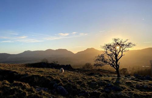 Beautifully Restored Log Cabin - Foto 17
