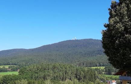 Ferienwohnung Woidtraum - Photo 21