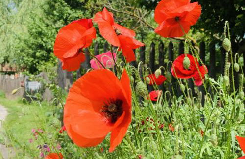 KulturGut Ulrichshalben - Photo 10