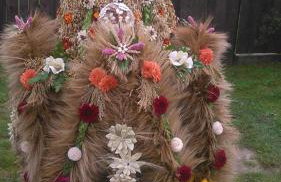 AgroKorytnica - Foto 16