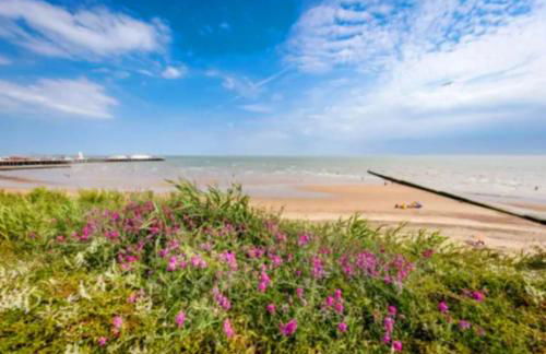 Buxton's Holiday Home - Park Holiday's complex - Beach Access - Free WiFi - Foto 37