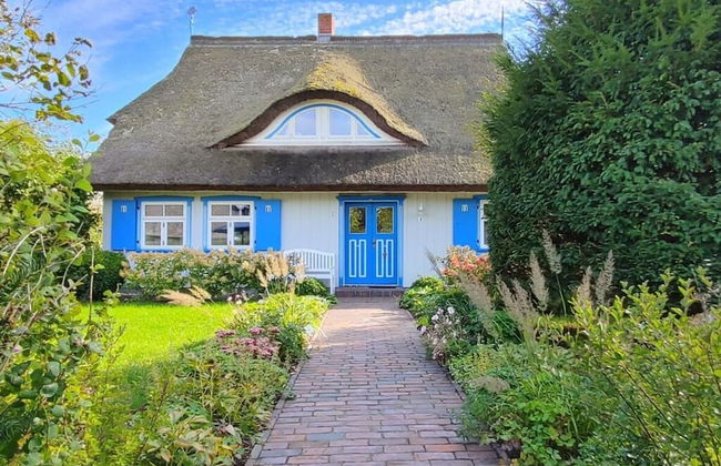 Captain House South Cats 8 - Photo 15