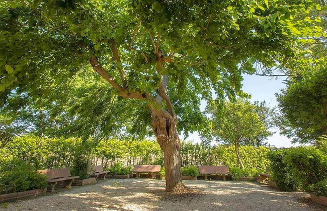 Cozy Apartment Near Bolgheri - Foto 13