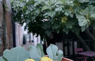 Le grand Houx - Foto 66