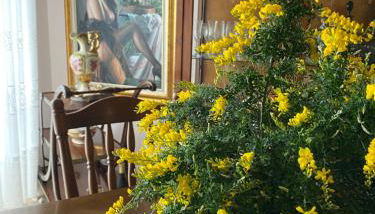 Amarea holiday home Sorrento - Photo 5