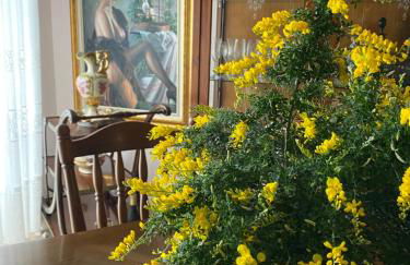 Amarea holiday home Sorrento - Foto 5