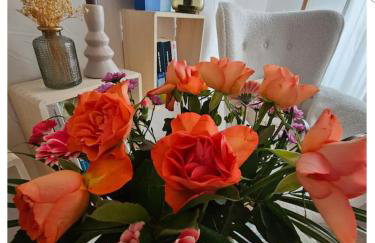 L'Atypique des Remparts - Photo 18