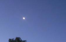 Jeannie's Oura Estrela - Foto 61