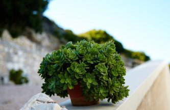 Amarandos Sea View Apartments - Photo 48