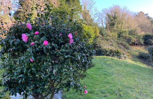 Maison TY Traon - - Foto 37