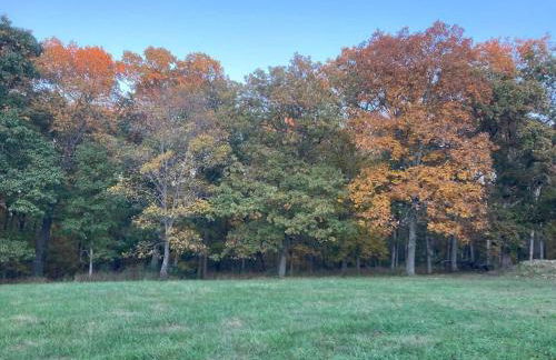 Ozark A-Frame -Dogwood Den - Foto 6