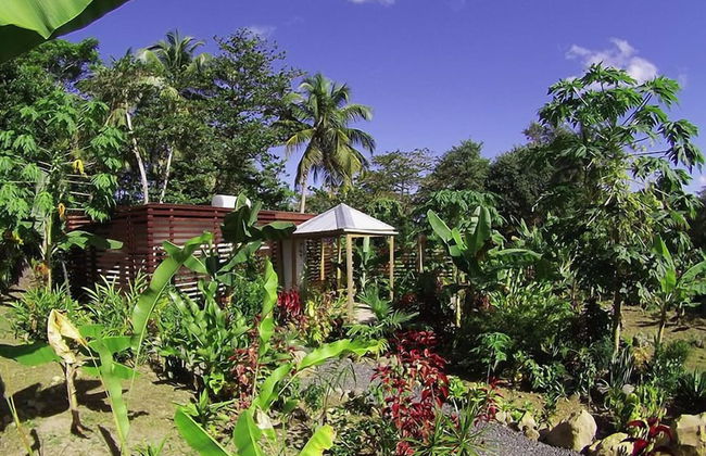 Citrus Creek Plantation - Photo 62