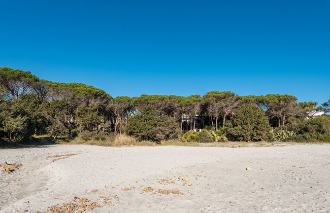 Cala Viola - Foto 21