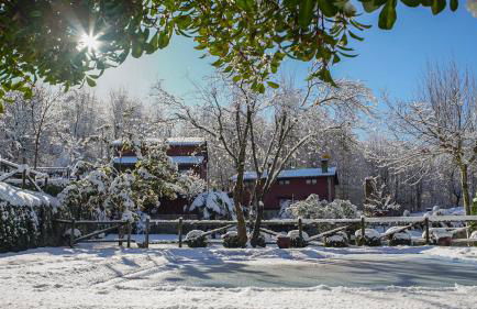 El Rincón de Castilla - Foto 3