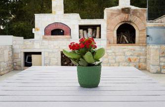 Trulli Nunzia - Foto 6