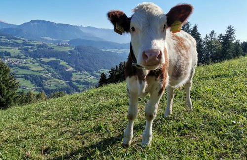 Rasiglerhof - Foto 19