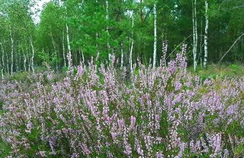 Kawalerka u Megi - Foto 10