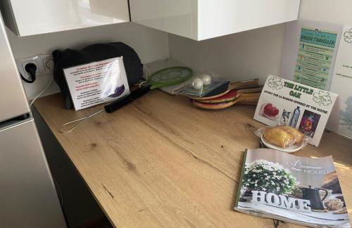 The Little Oak - tiny house with bed on mezzanine & terrace - from 1 to 4 p Disney, Paris & CDG - Foto 23