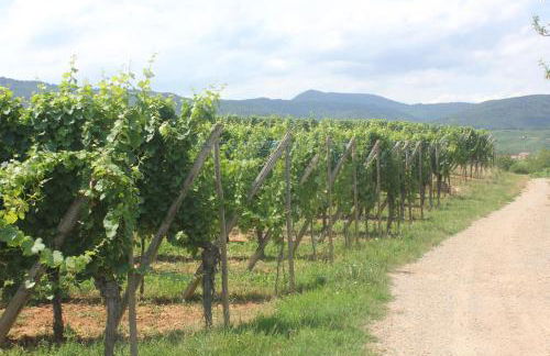 Gite des cigognes bleu - Foto 16