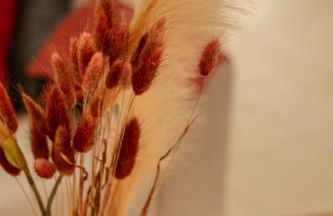 Ismini Basement Retreat - Foto 30